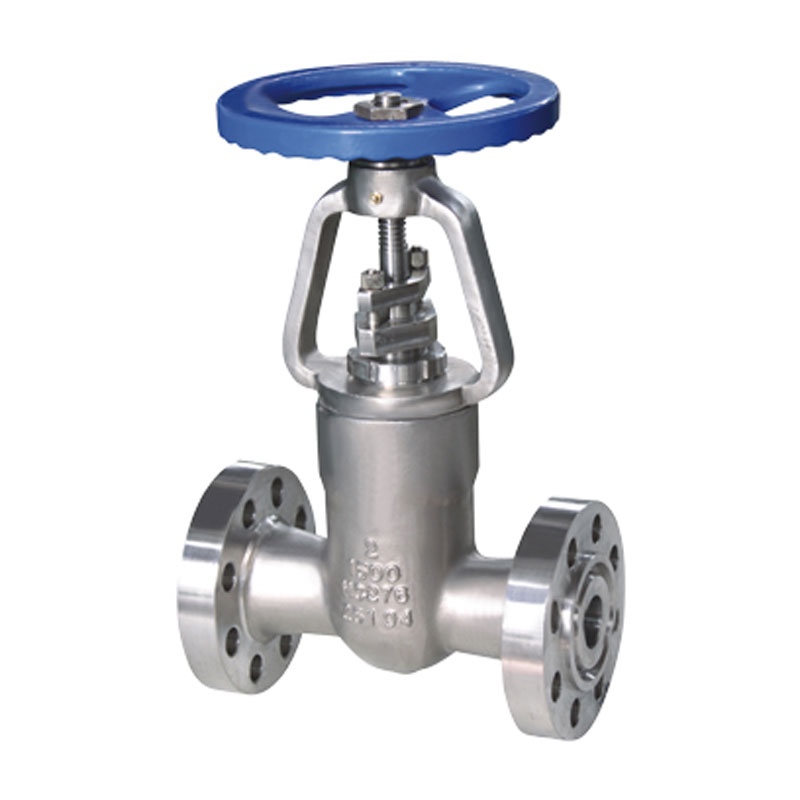 Задвижки из хастеллоя